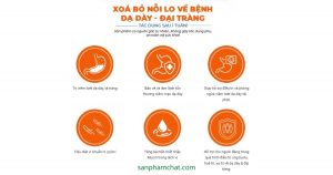 Dung Dịch Nghệ Nano Curcumin Sanphamchat.com